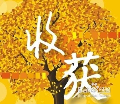 秋冬季为什么是摆脱腋臭的最佳时机