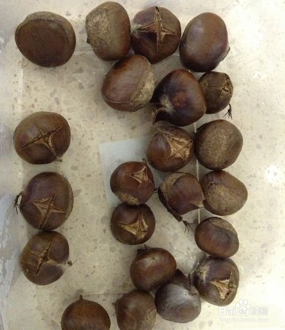 微波炉DIY糖炒栗子的做法