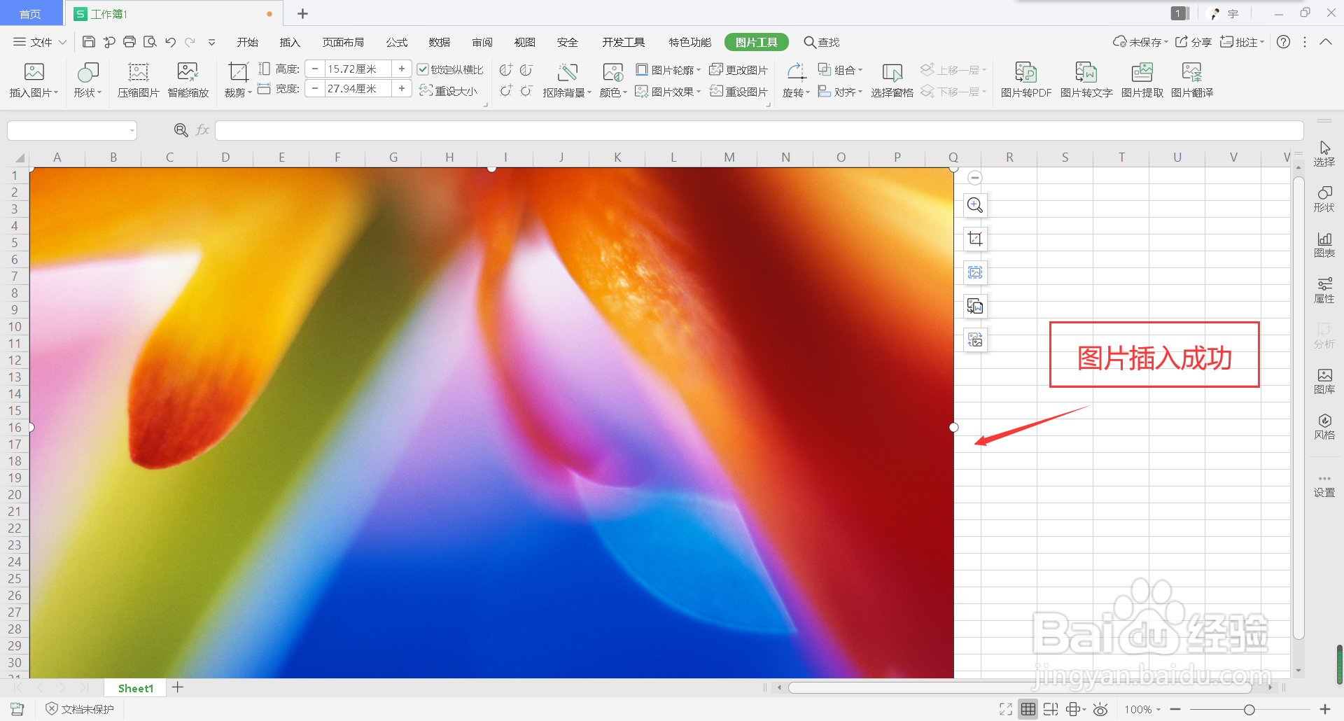 wps表格怎么插入图片