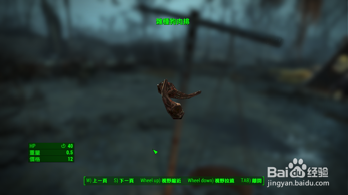 辐射4杂种狗肉排如何制作