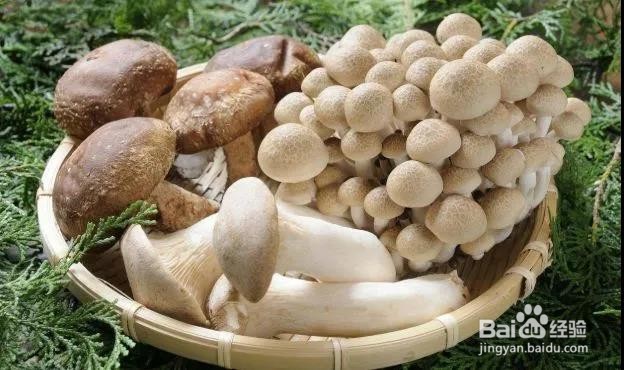 ​吃麻辣烫时，好吃还不压秤的食谱是哪几种呢？