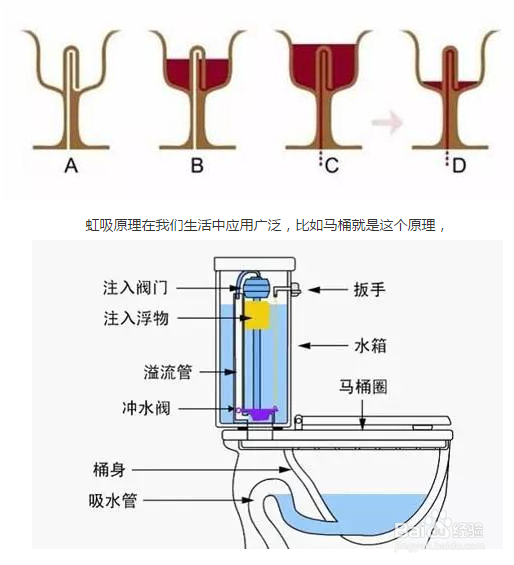 自制小实验：用饮料瓶和吸管演示虹吸现象