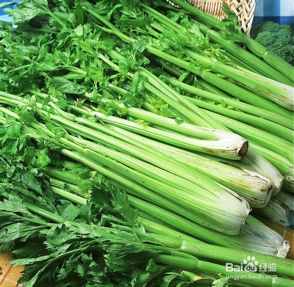 吸脂刮油的好食物