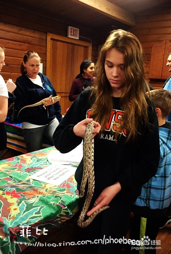 温哥华自然公园珍奇爬行动物展