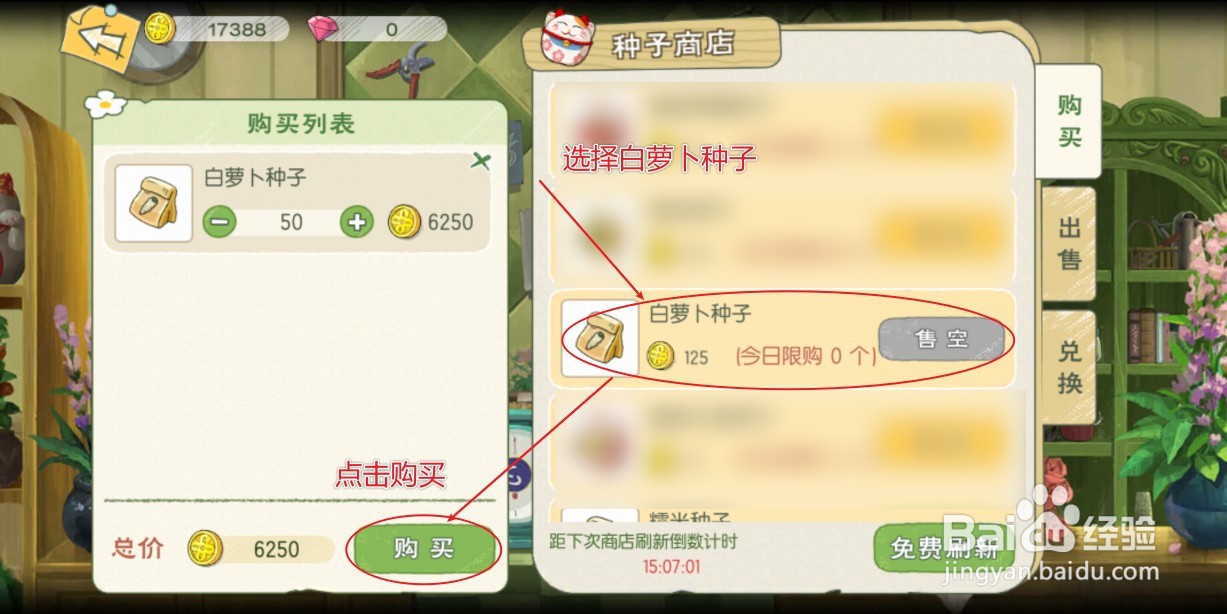 小森生活的白萝卜种子是如何获取的？