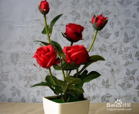 怎么养玫瑰花才能长久