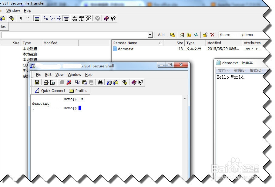 linux 如何在命令行动态显示文件内容