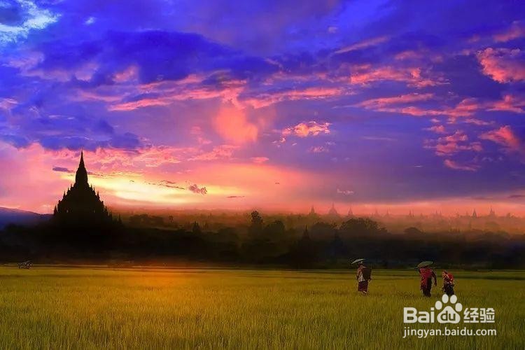 初学者怎么戒掉电子烟