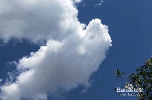 春节被亲戚催婚了怎么应对