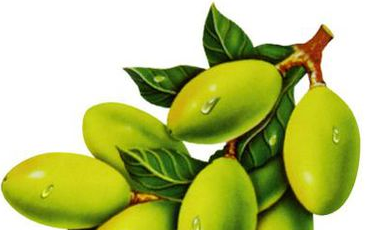 吃橄榄有什么好处