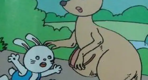 小兔袋鼠袋式怎么写