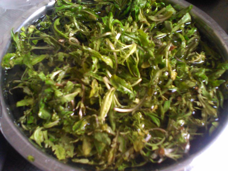 素馅荠菜包子的做法窍门是什么