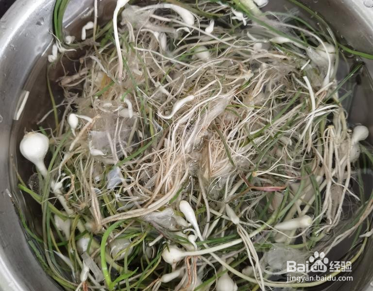 野生小蒜葱油饼的做法