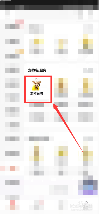 狗狗吐了黄黄黏稠液体怎么办