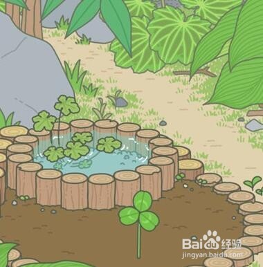 青蛙旅行四叶草怎么得