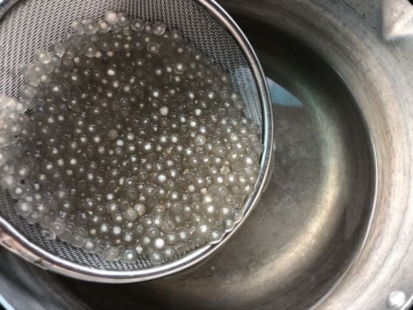 珍珠西米蜜豆椰汁