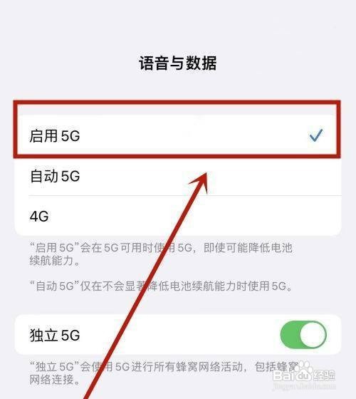 苹果怎么开启5G？