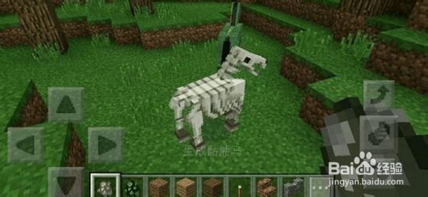 我的世界骷髅马怎么驯服