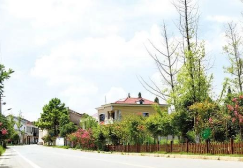 集体经济的例子举3个是什么