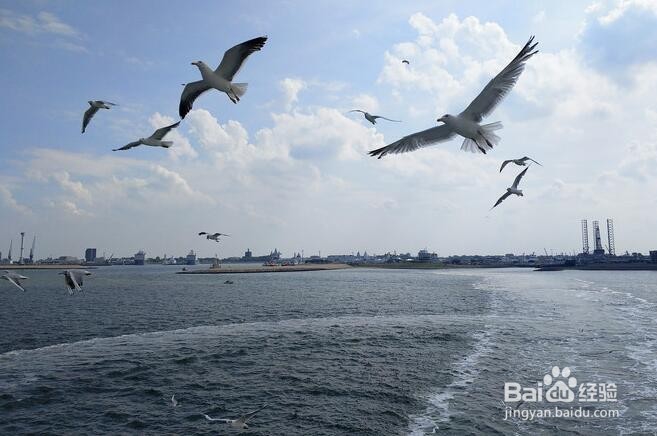 七夕高逼格拍照技术!大显神威的时刻到了!