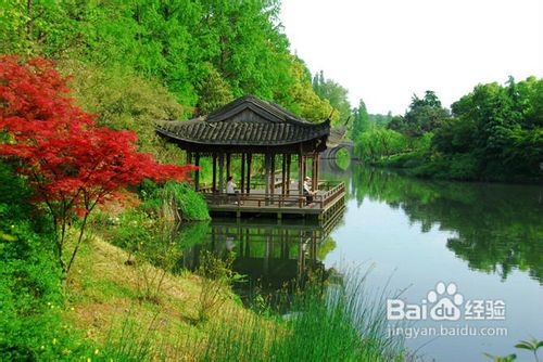 关于血小板减少的病因