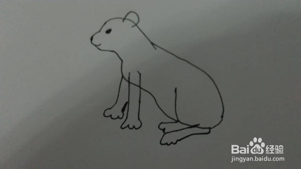简单画--雌狮