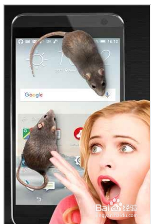 手机屏幕上怎么养老鼠