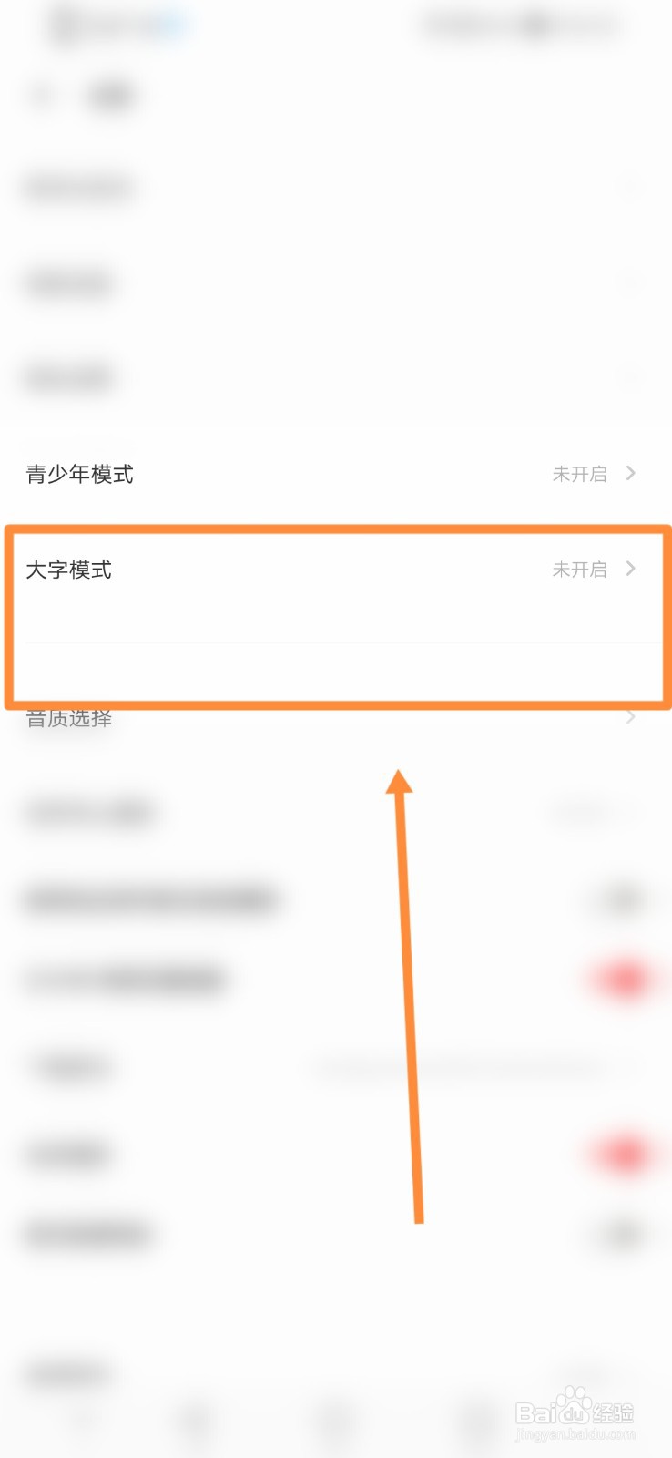 荔枝软件如何设置大字体模式