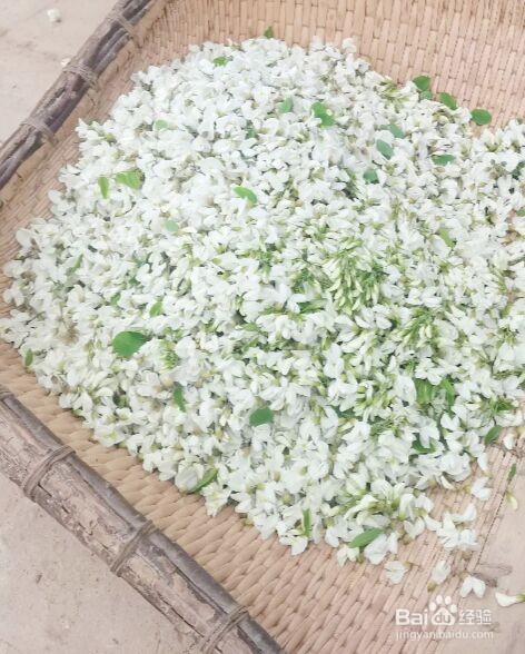 槐花的保存方法
