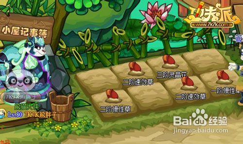 功夫派超级灵晶怎么得？