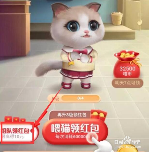 双十一猫猫战队攻略