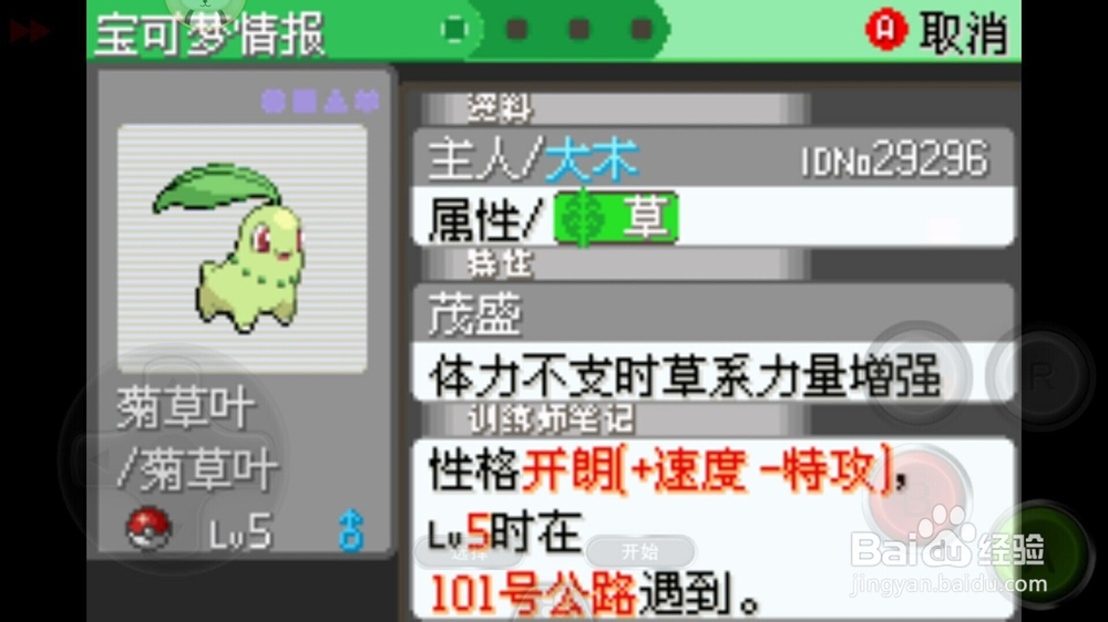 口袋妖怪究极绿宝石初始精灵菊叶草性格选择。