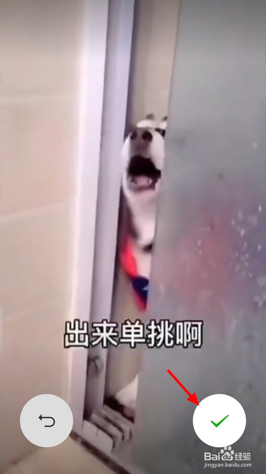 微信8.0背景视频怎么设置
