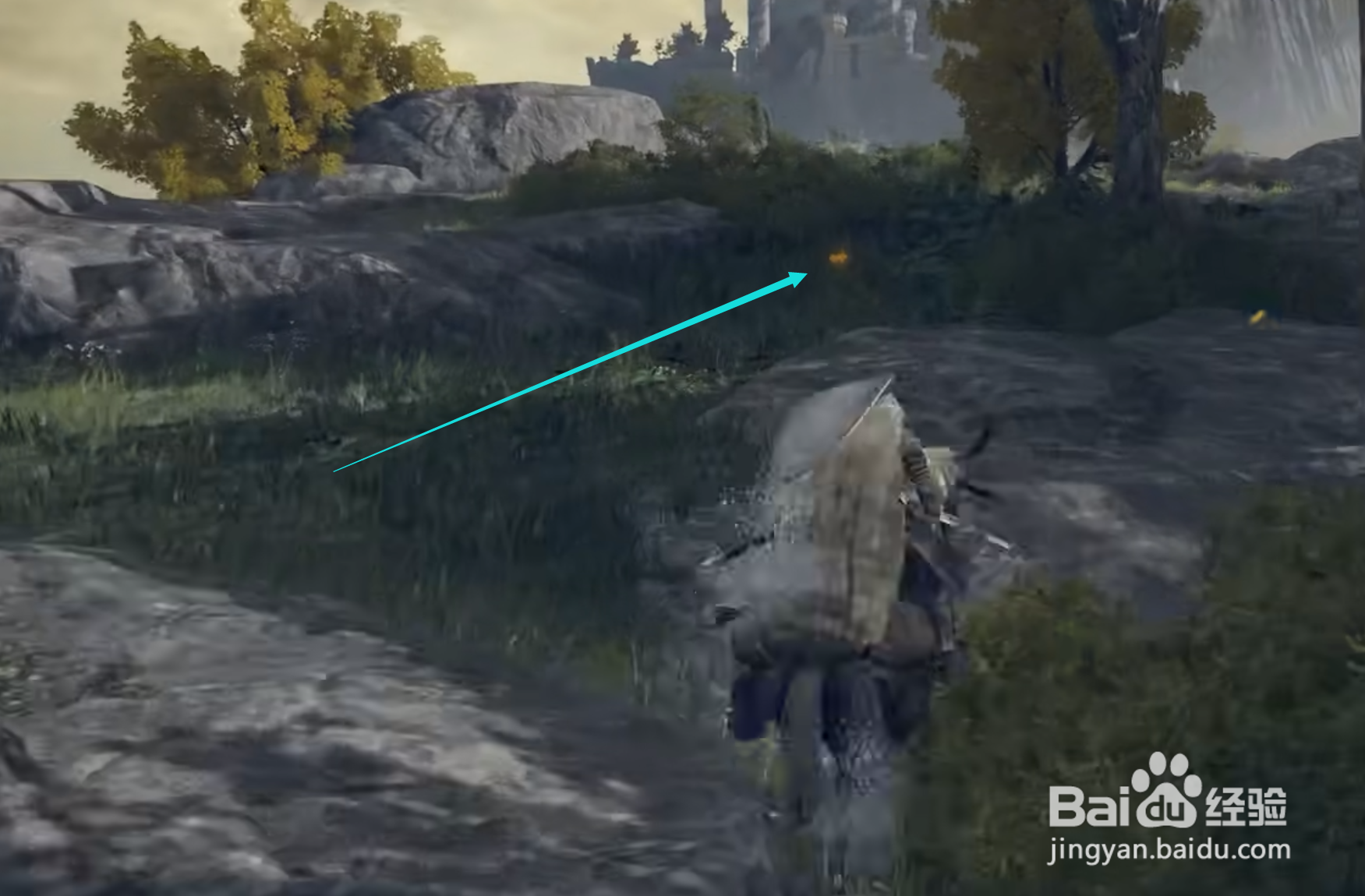 艾尔登法环落叶花怎么获得