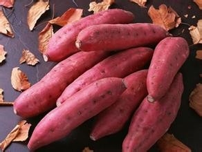 提高免疫力的食物,轻松提高免疫力
