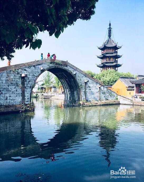 参观震泽古镇的人文历史
