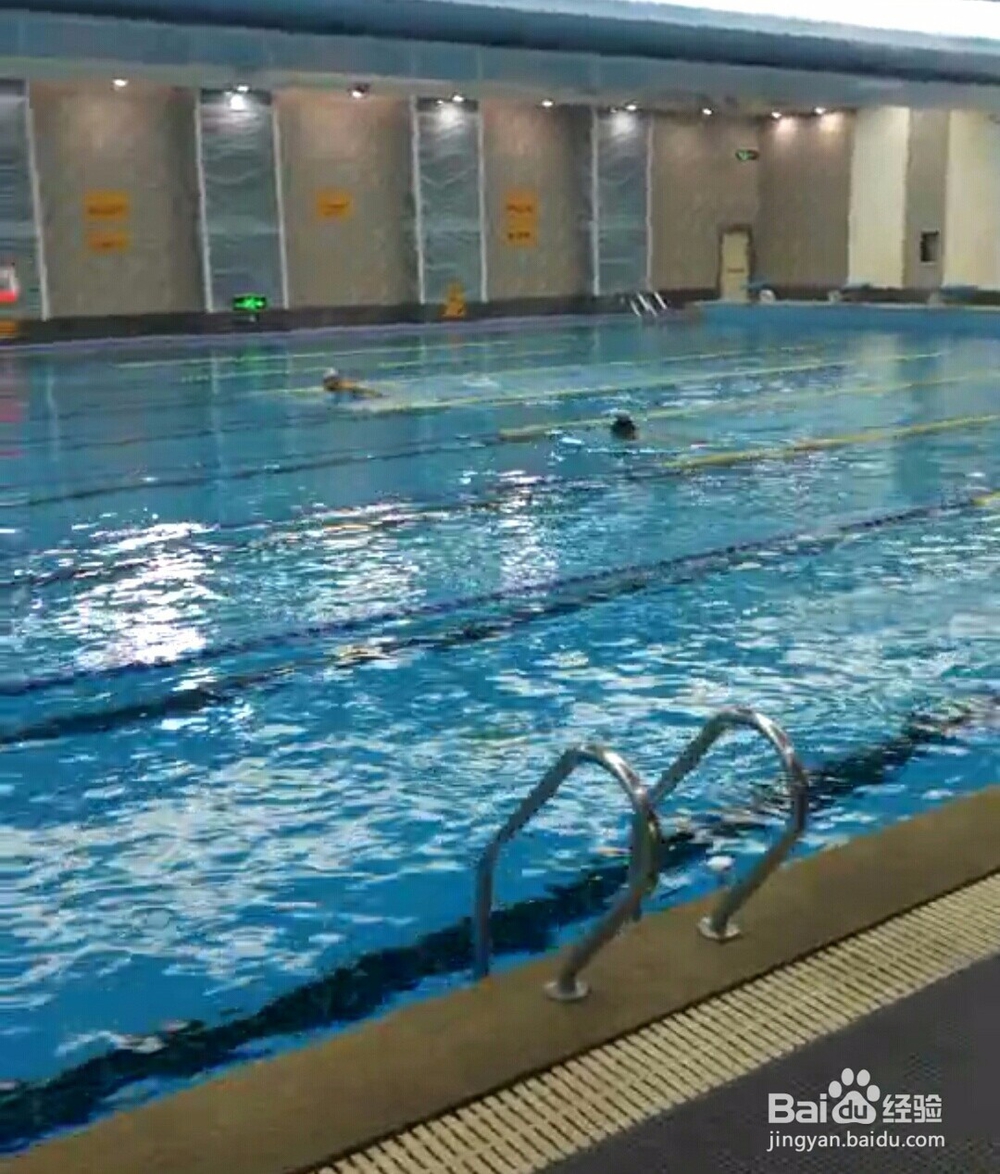 怎样才算真正学会游泳