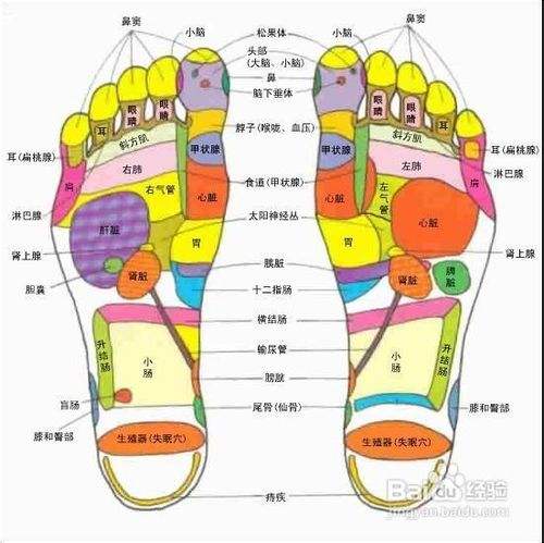 详细脚部穴位图解 百度经验 详细脚部穴位图解 百度经验