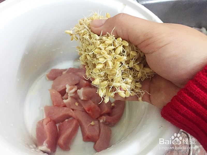 麦芽瘦肉汤怎么做