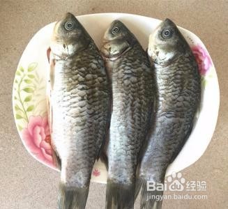 怎么区分鲤鱼和鲫鱼？