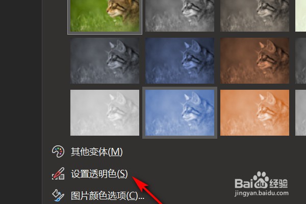 PPT图片背景透明怎么设置?