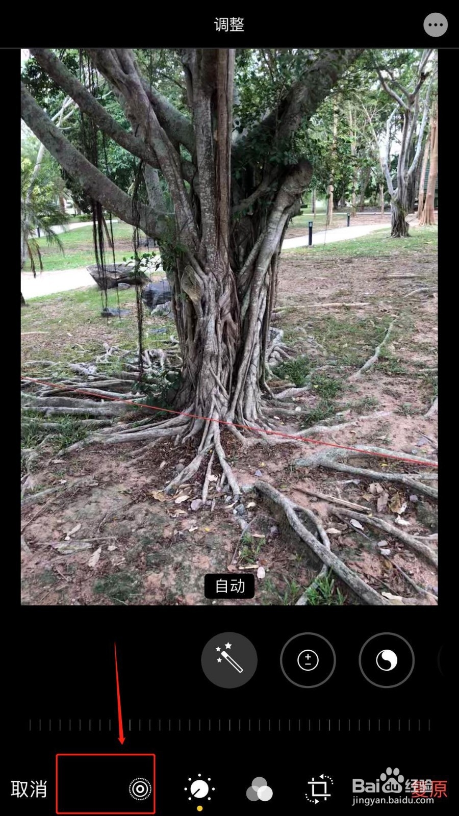 iphone实况照片怎么变成动图