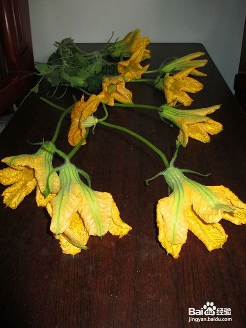 城市农家乐——鲜花云吞