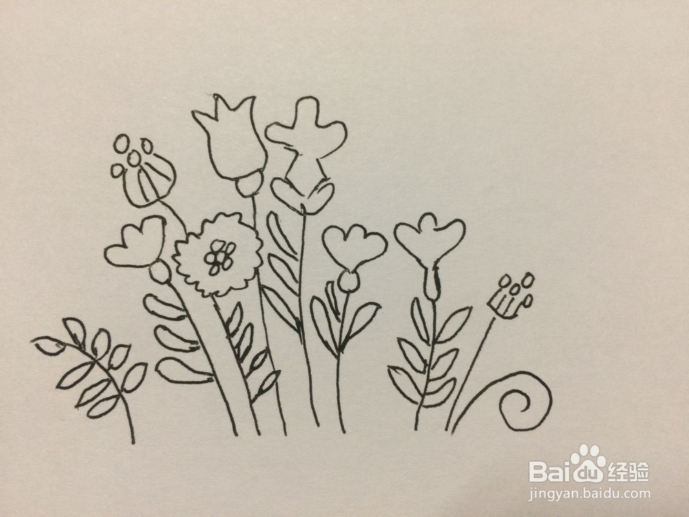 黑板报小花插图的画法