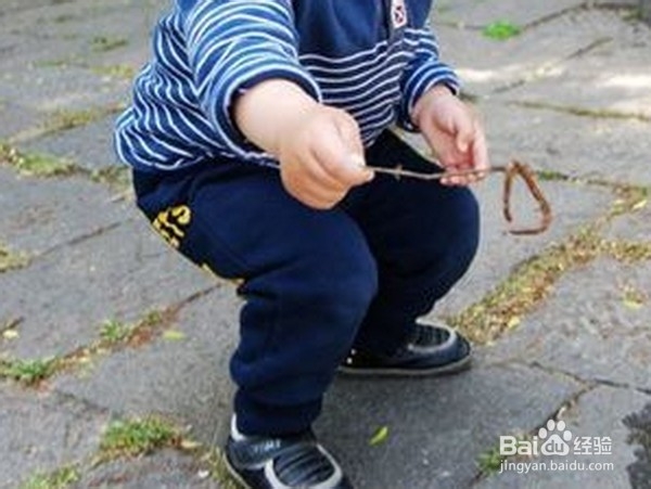 家庭种菜：[12]怎样防治蚯蚓的危害