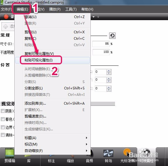 camtasia studio录屏软件 “复制可视化属性”