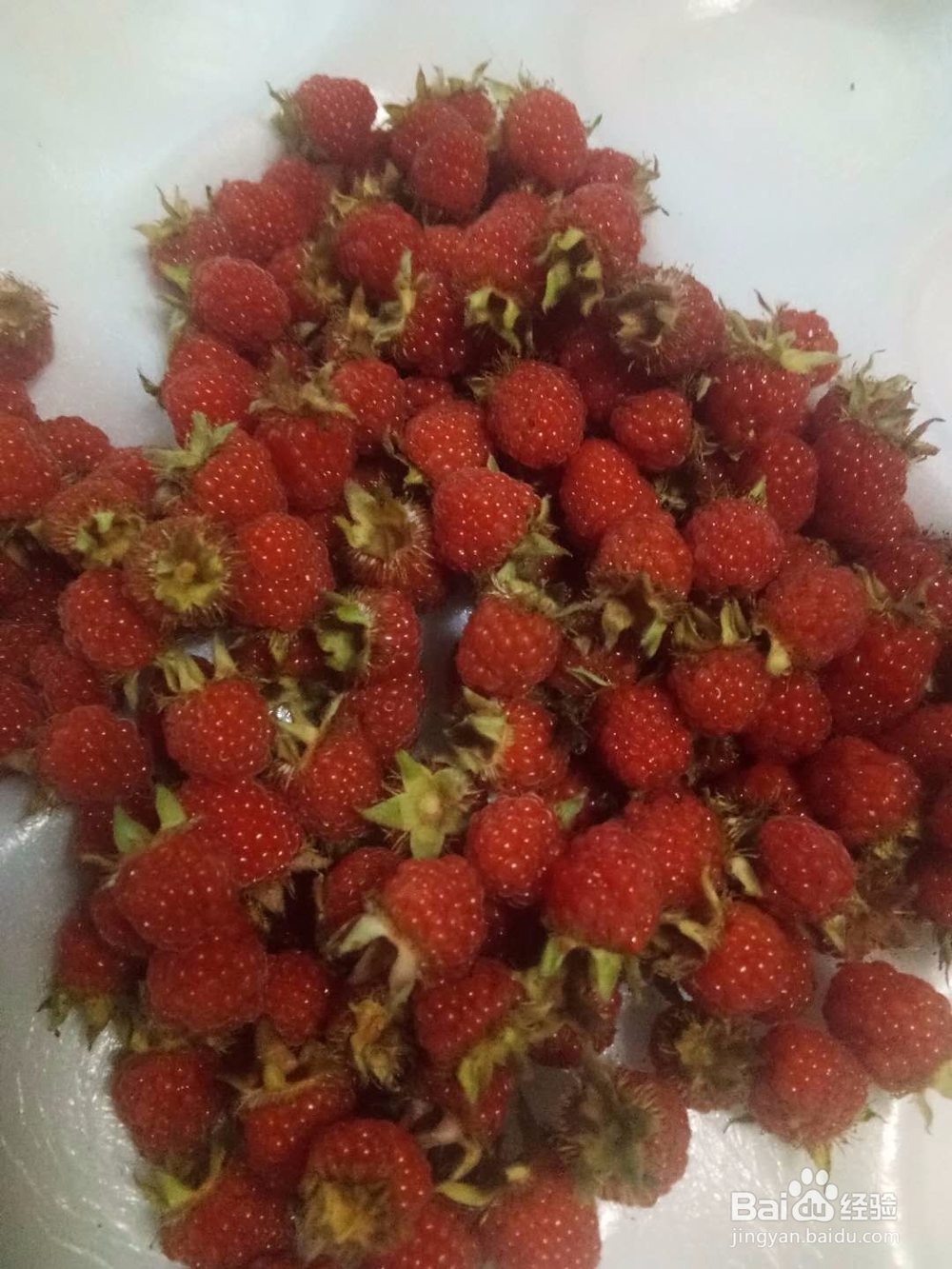 鸣凤山野美食集锦