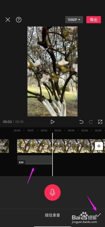 剪映APP怎么给视频加配音