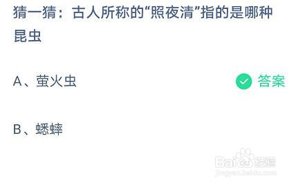 蚂蚁庄园古人所称的“照夜清