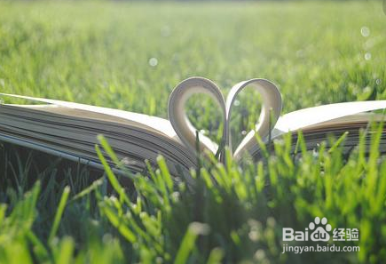 如何高效的记忆新的知识点？